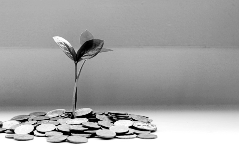 #8 IN PURSUIT OF DRAGONS – WRITERS GET&nbsp;PAID